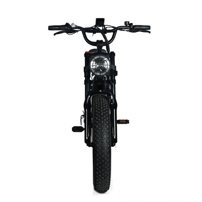 Electric Mountain Bike for Adults | 20 x 4.0 Fat Tires, 1000W Motor, 48V 20Ah Removable Battery, Max Speed 45MPH, Shi Mano 7-Speed for Off-Road Adventures